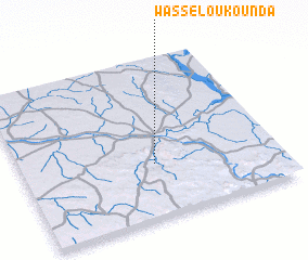 3d view of Wassélou Kounda