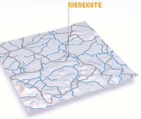 3d view of Nienekote