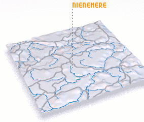 3d view of Niénéméré