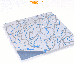 3d view of Tongima
