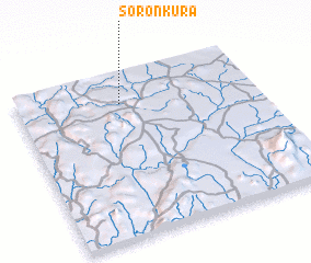 3d view of Soronkura