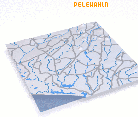 3d view of Pelewahun