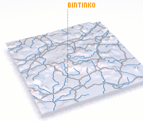 3d view of Bintinko