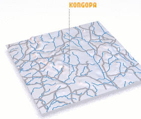 3d view of Kongopa