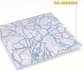 3d view of Palo Parado