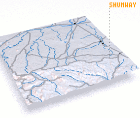 3d view of Shumway