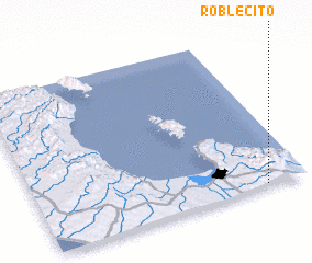 3d view of Roblecito