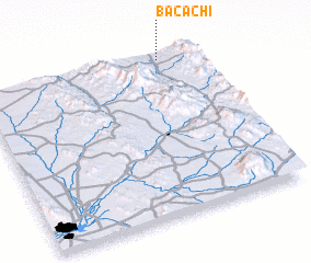 3d view of Bacachi