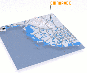 3d view of Chinapobe