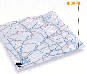 3d view of Nidopa
