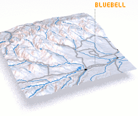 3d view of Bluebell
