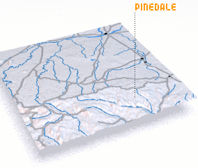 3d view of Pinedale