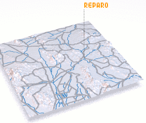 3d view of Reparo