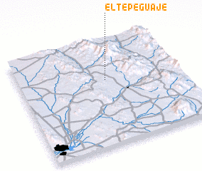 3d view of El Tepeguaje