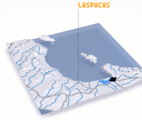 3d view of Las Pacas