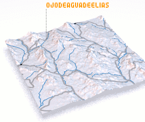 3d view of Ojo de Agua de Elías