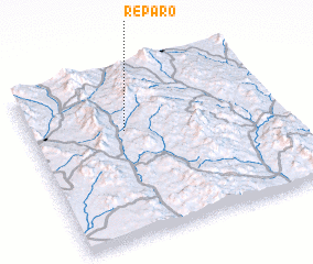 3d view of Reparo