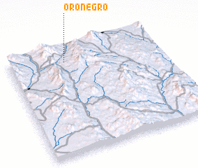 3d view of Oro Negro