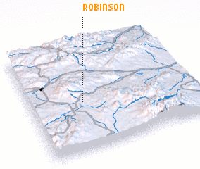 3d view of Robinson