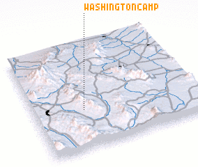 3d view of Washington Camp