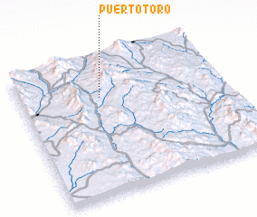 3d view of Puerto Toro