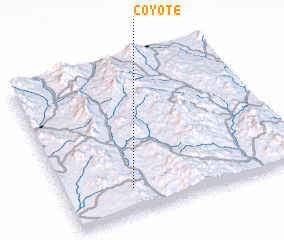 3d view of Coyote