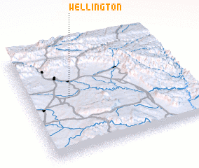 3d view of Wellington