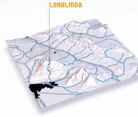 3d view of Loma Linda