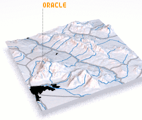 3d view of Oracle