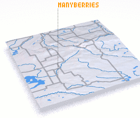 3d view of Manyberries