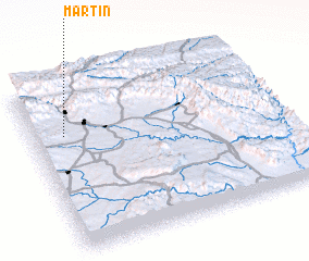 3d view of Martin