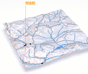 3d view of Miami