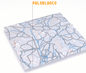 3d view of Palo Blanco