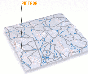 3d view of Pintada