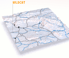 3d view of Wildcat