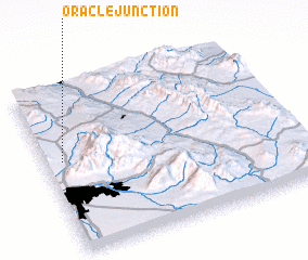 3d view of Oracle Junction