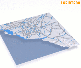 3d view of La Pintada