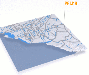 3d view of Palma