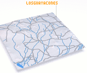 3d view of Los Guayacones