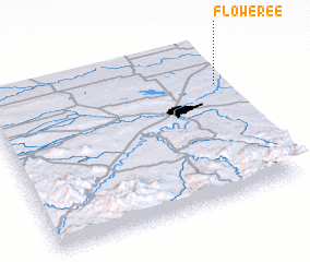 3d view of Floweree