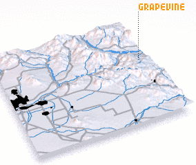 3d view of Grapevine