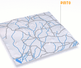 3d view of Pinto