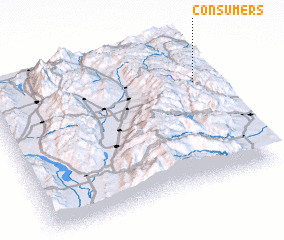 3d view of Consumers