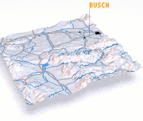 3d view of Busch