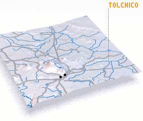 3d view of Tolchico