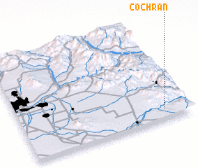 3d view of Cochran