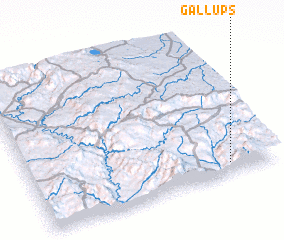 3d view of Gallups