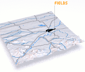 3d view of Fields