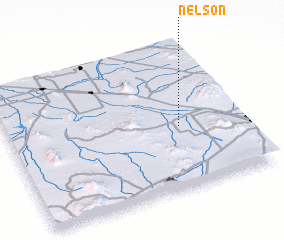 3d view of Nelson