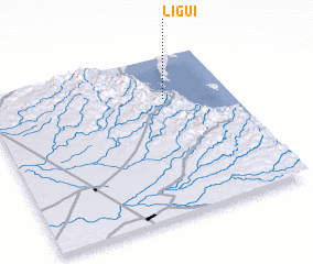 3d view of Ligui